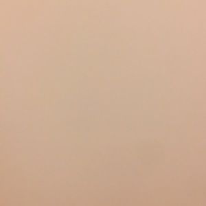 Meet your Posher, Stephen